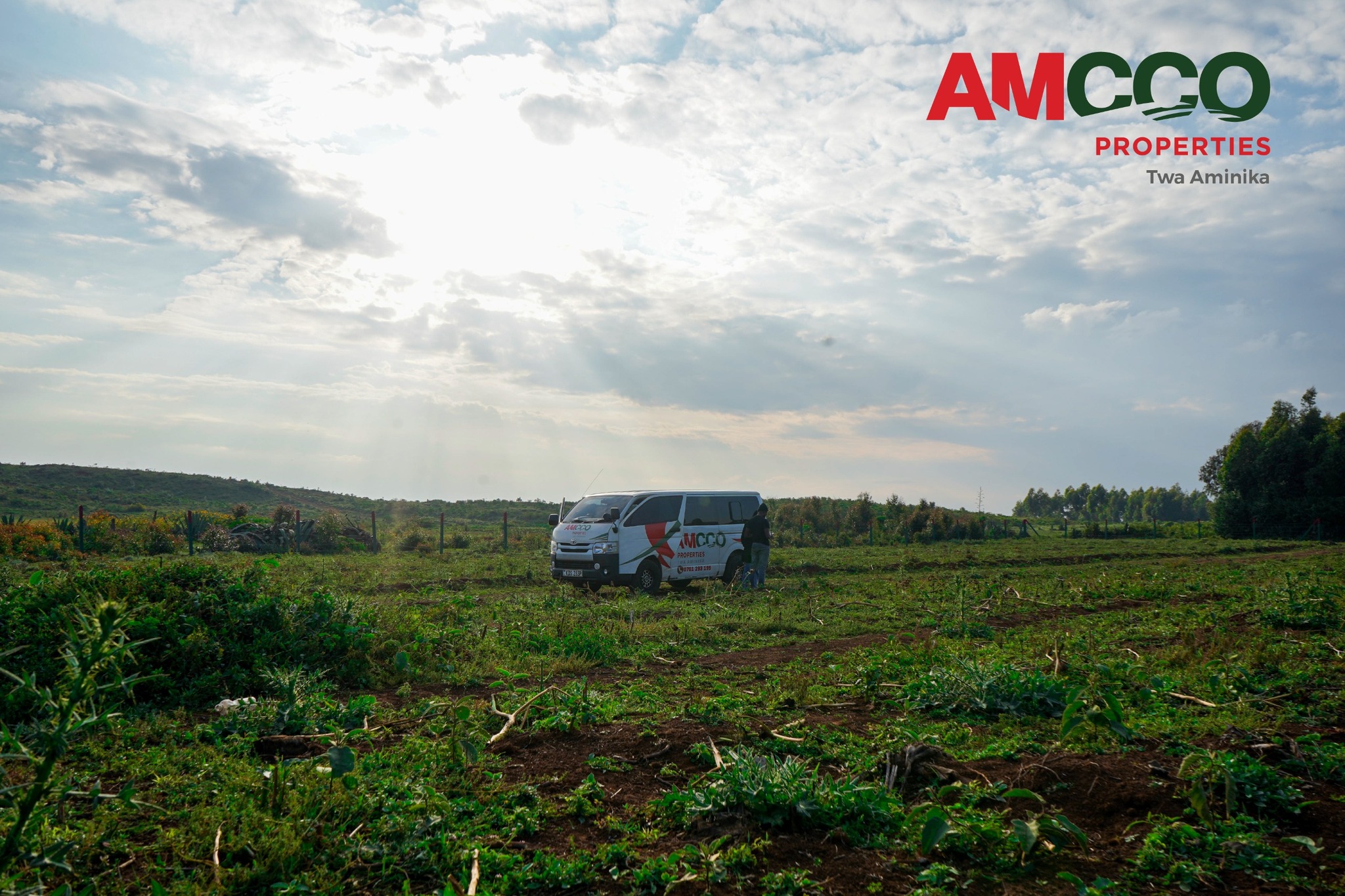 Goldleaf Land For Sale Kikuyu